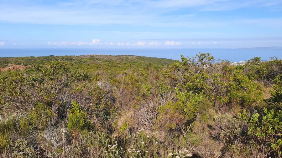  Bedroom Property for Sale in Paradise Coast Western Cape